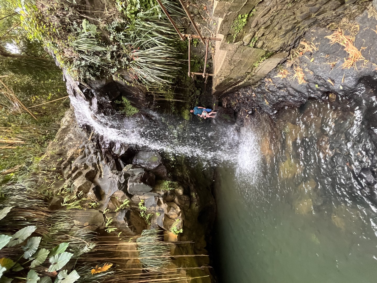 Annandale Falls travel moment 5